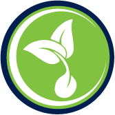 TS Gold Icons_Green Sprout TS Gold Icons_Green Sprout