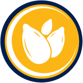 TS Gold Icons_Seed TS Gold Icons_Seed