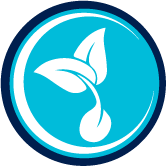 TS Gold Icons_Sprout Blue TS Gold Icons_Sprout Blue